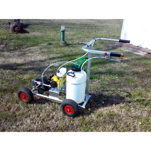 Διαγραμμιστές