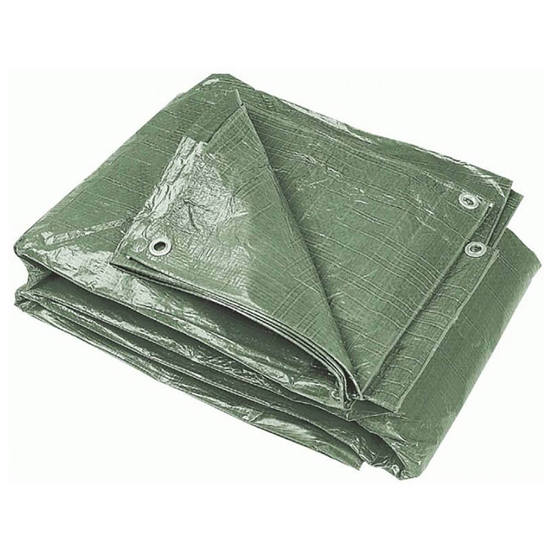 BORMANN BTR2040 Μουσαμάς 60gr 4x6m BORMANN BTR2040 Μουσαμάς 60gr 4x6m